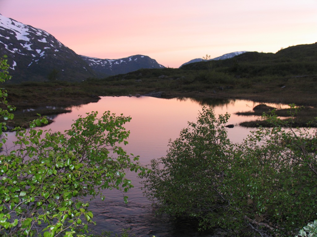 Kveld ved Lonevatnet